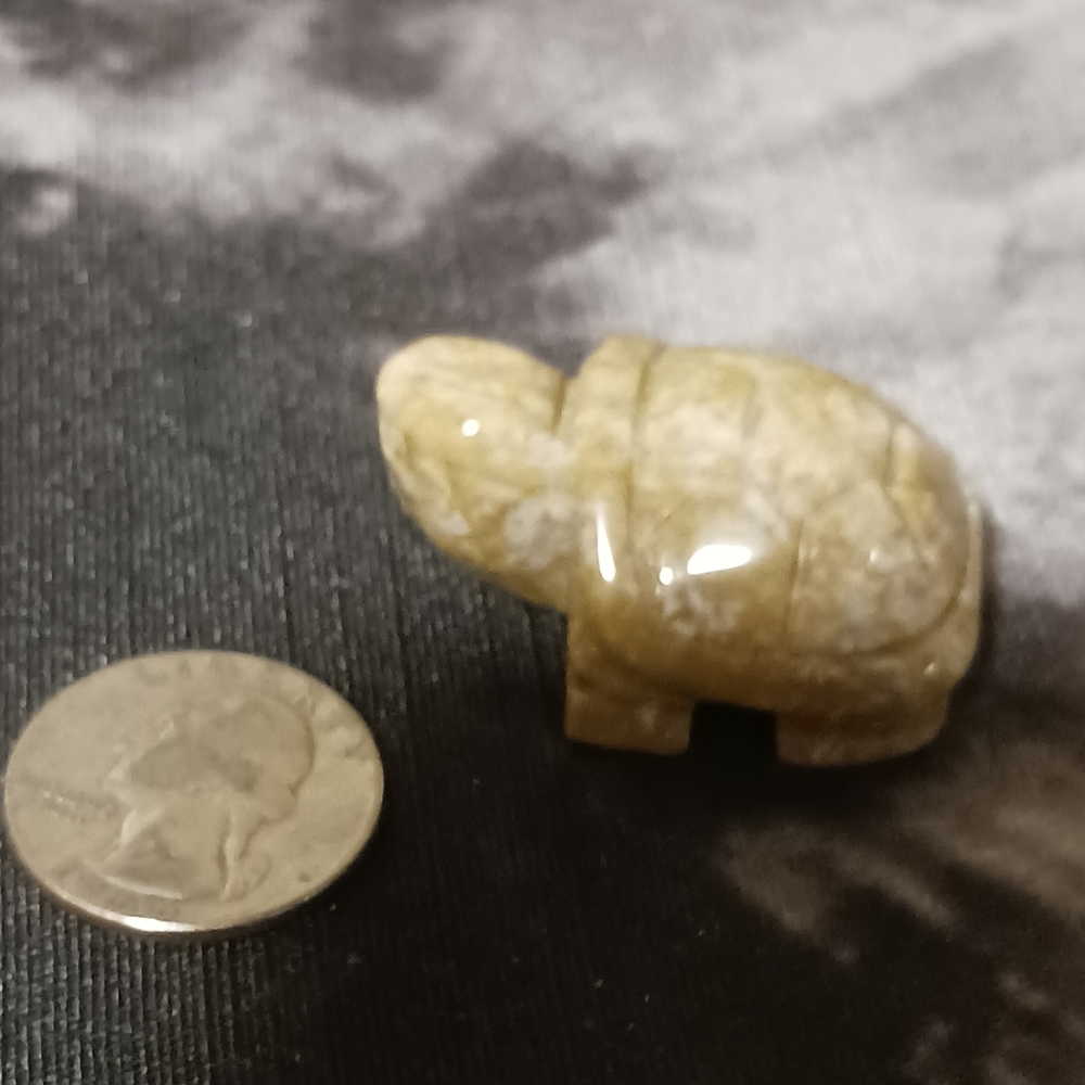 Crystal Turtle - Picture 6 of 8